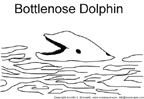 dolphin_outlines_thu.gif (4233 bytes)
