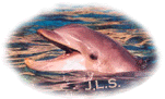 Dolphin.gif (10874 bytes)