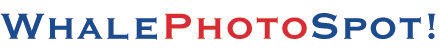 whalephotospot.gif (2557 bytes)